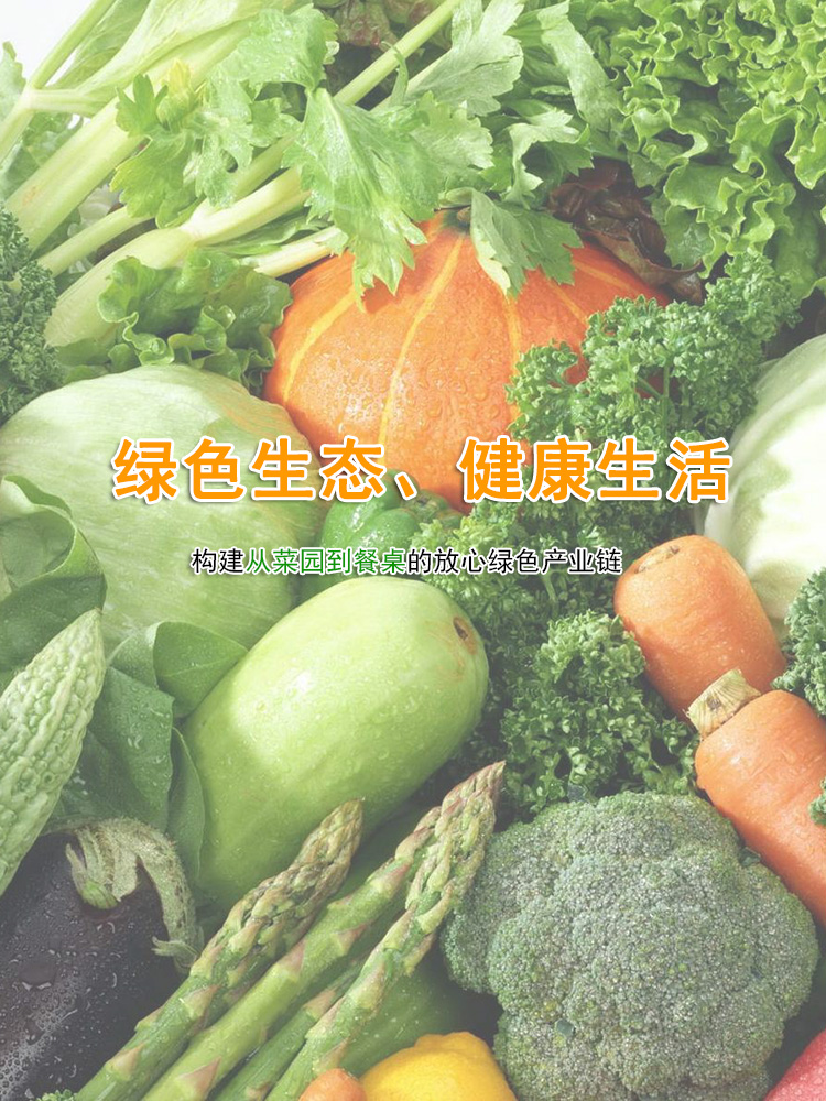 大圖2